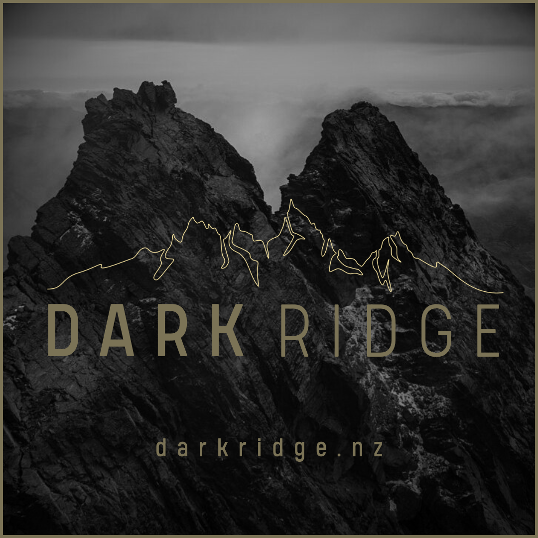 8mm Brushed Stainless Steel Ring